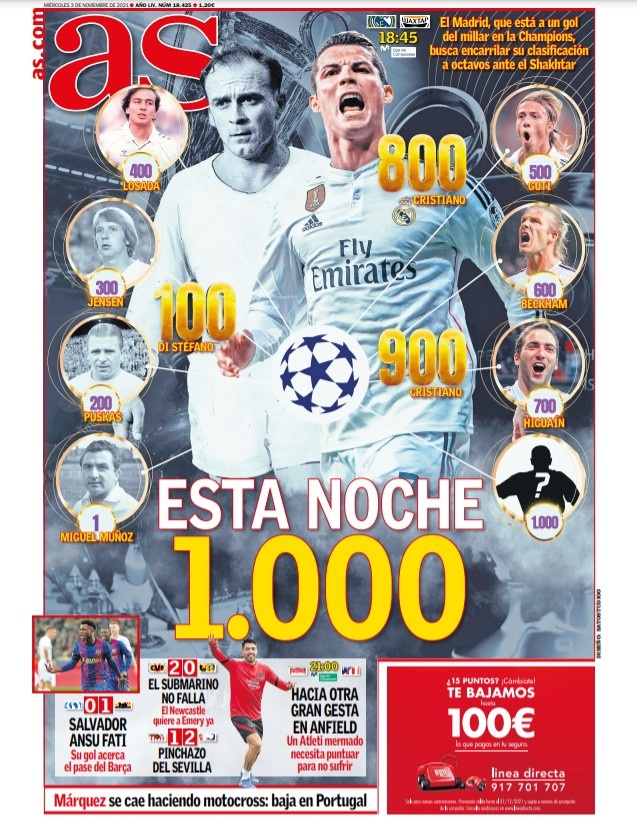 果与专业性 果与专业性